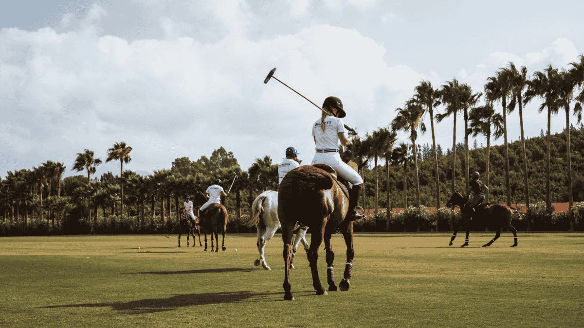 Polo match in Sotogrande 