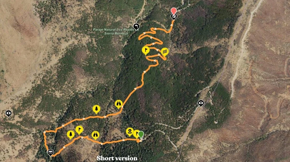 Paseo de los Pinsapos short hiking route
