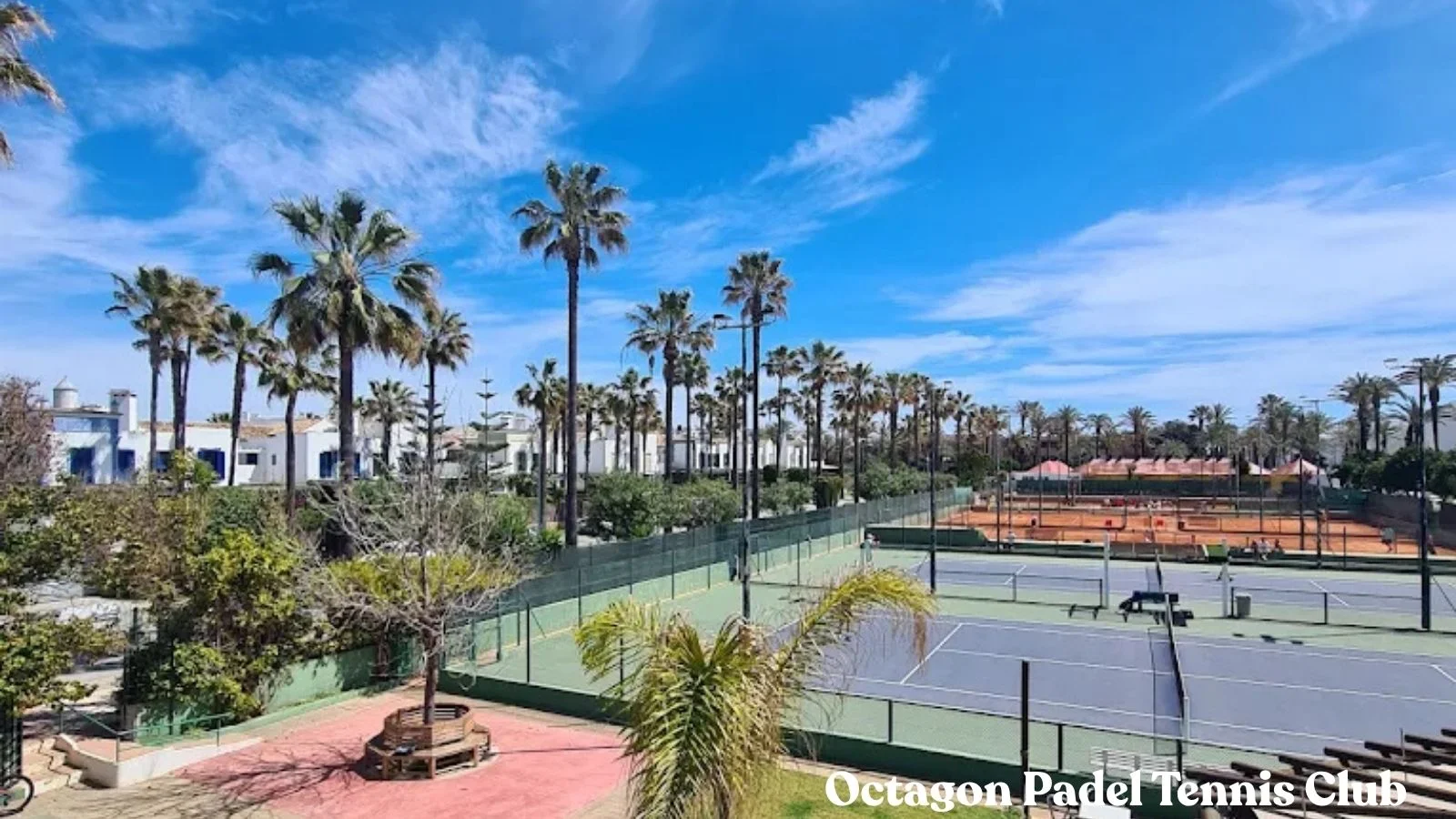 Padel courts at The Octagon Padel Tennis Club in Sotogrande Marina
